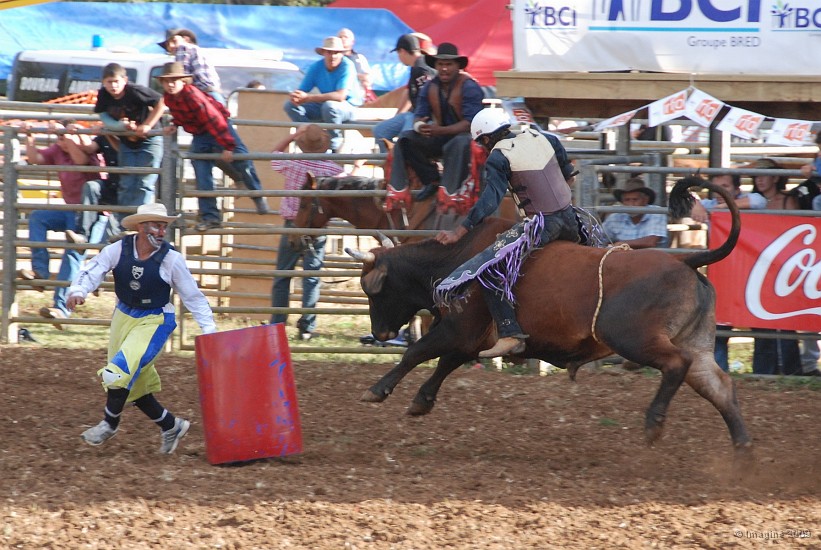 54- Rodeo.JPG